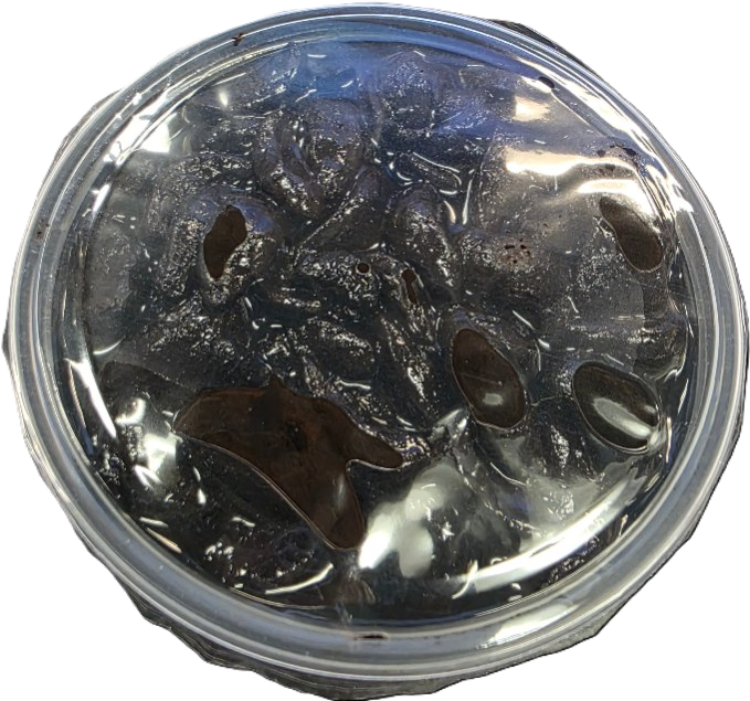 Black Garlic Cloves Without Oil
